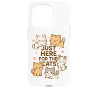 Solo qui per i gatti Kawaii Kawaii Kitten Lover Funny Cat Mamma Dad Custodia per iPhone 15 Pro