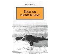 Solo un pugno di neve