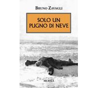 Solo un pugno di neve
