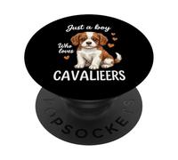 Solo un ragazzo che ama i cavalieri PopSockets PopGrip Adesivo