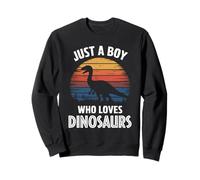 Solo Un Ragazzo Che AMA i Dinosauri Fossil Hunter Kids Dinosaur Felpa