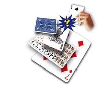 SOLOMAGIA Funny Prediction - 7 di Quadri - Trucchi con Le Carte - Giochi di Magia