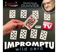 SOLOMAGIA Impromptu Wild Card Gimmicks And Online Instructions by Dominique Duvivier