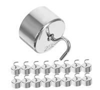 SOLUSTRE 50pezzi Pesi Da Laboratorio Con Doppio Gancio in Ferro Cromato Pesi Per Esperimenti Di Fisica e Scienze Controllo Preciso e Calibrazione Affidabile Per Uso Didattico e Ricerca