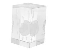 SOLUSTRE Crystal Human Brain Anatomical Model Paperweight for Medical Students and Doctors Educational Tool for Biology and Physiology Graduation