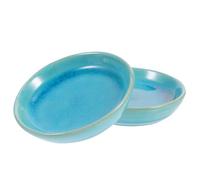SOLUSTRE Piatto in Ceramica per Massaggio Gua Sha 2 Pezzi, Multiuso per Tonificare Gambe e Mantenere Elasticità della Pelle, per Linfodrenaggio