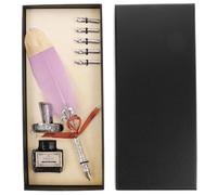 SOLUSTRE Set Penna Calligrafica Vintage Piuma Porpora e Pennino in Acciaio, Penna Stilografica Multifunzionale per Pratica Elegante e Raffinata