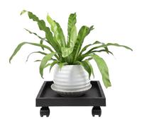 SOLUSTRE Supporto per Piante Ruote Vassoio Quadrato 29X29X10 CM in Materiale Resistente per Patio e Casa Grigio Sottovaso Rettangolare Mobile