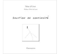 Solutions de continuité
