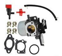 Soluzione sostenibile per le prestazioni del motore attraverso il nostro gruppo carburatore realizzato con caratteristiche principali come una linea del carburante e un filtro dell'aria