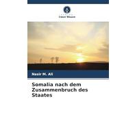 Somalia nach dem Zusammenbruch des Staates