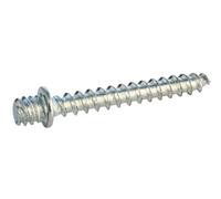 SOMATHERM FOR YOU - Paw vite Legno 7/150-50 mm - box 100 - acciaio lucido gradini