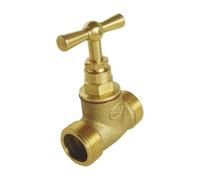 SOMATHERM PER TE - intercettazione vite doppia Maschile MM15 / 21 - Stem testa - in ottone grezzo