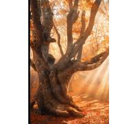Somatic Hypnotherapy: Hypnosis Scripts to Aid in Body and Mind Ailments
