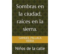 Sombras en la ciudad, raíces en la Sierra.: Niños de la calle