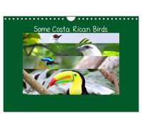 Some Costa Rican Birds (Wall Calendar 2027 DIN A4 landscape), CALVENDO 12 Month