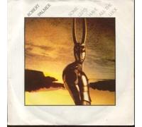 SOME GUYS HAVE ALL THE LUCK 7" (VINYL 45) UK ISLAND 1981