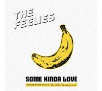 The Feelies Some Kinda Love: Performing the Music of the Velvet Under (Vinyl LP)