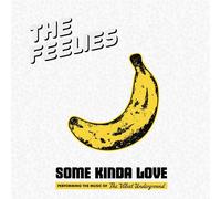 Some Kinda Love: Performing The Music Of The Velvet Underground... (Audio Cd)