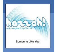 Someone Like You (Karaoke Version In the Style of Adele) - Single