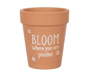 Something Different Bloom Where You Are Planted Terracotta Vaso per (SD4219)