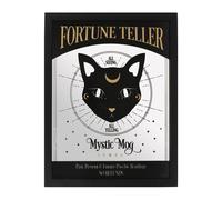 Something Different Mystic Mog Riflettente Decorazione da Appendere (SD5369)