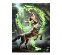 Something Different Wholesale Anne Stokes - Tela artistica da parete in MDF, stile gotico, motivo: Earth Element Magic Centaur
