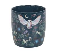 Something Different Wholesale Mystical - Tazza con gufo e luna, 320 ml, con gufi volanti, luna crescente e piante della foresta, adatta al microonde e alla lavastoviglie, ideale per tè serali e relax
