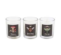Something DifferentDark Forest Trio Candele Votive Misura Confezione 3 (SD6802)