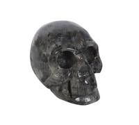 Something DifferentDark Matter Labradorite Teschio Cristallo (SD5594)