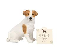 Something DifferentJack Russell Terrier Ornamento (Taglia Unica) (Bianco)