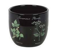 Something DifferentPoisonous Plants Vaso per Piante (SD10074)