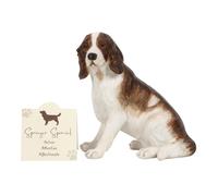 Something DifferentResina Springer Spaniel Ornamento (SD4780)