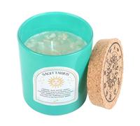 Something DifferentSagittarius Ylang Ylang e Ambra Candela Profumata (SD5605)