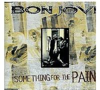 Something for the Pain (w/ BOB GELDOF)