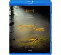 Sometimes I Think About Dying (Blu-ray)