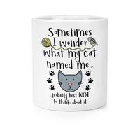 Sometimes I Wonder What My Cat Detto Me Trucco Pennello Matita Vaso- Divertente