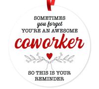 Sometimes Your Forget You're an Awesome Coworker So This is Your Reminder, ornamenti natalizi con sacchetto di velluto incluso, grande ornamento rotondo in metallo da 9,5 cm