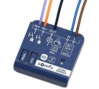 Somfy 1822663 - Micro ricevitore di illuminazione con variazione IZYMO | Tecnologia io-homecontrol | Tahoma (switch)