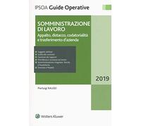 Somministrazione Di Lavoro