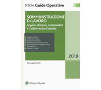 Somministrazione di lavoro. Appalto, distacco, codatorialità e trasferimento d'azienda. Con aggiornamento online
