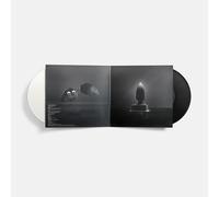 everything everywhere all at once (original motion picture soundtrack) (black and white vinyl)