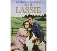 Son of Lassie - Son of Lassie