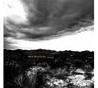 Son of the Velvet Rat Dorado (Vinyl LP)