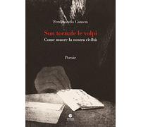 Son tornate le volpi. Come muore la nostra civiltà