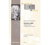 Sonatina a-Moll: per flauto di alto livello e particelle e voci B (esposto)