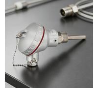 Sonda di misurazione della temperatura PT100 con filettatura M20x1,5 per integrazione in SCADA e sistemi di controllo distribuiti (50mm)