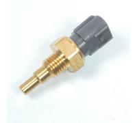 Sonda di temperatura RMS per Auto Piaggio Porter 8942287102000
