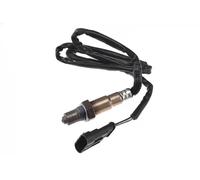 NTY ESL-AR-002 Sonda lambda