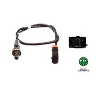 Sonda Lambda Banda Larga Prima Kat Con 5 Condutture NTK per Audi A8 D3